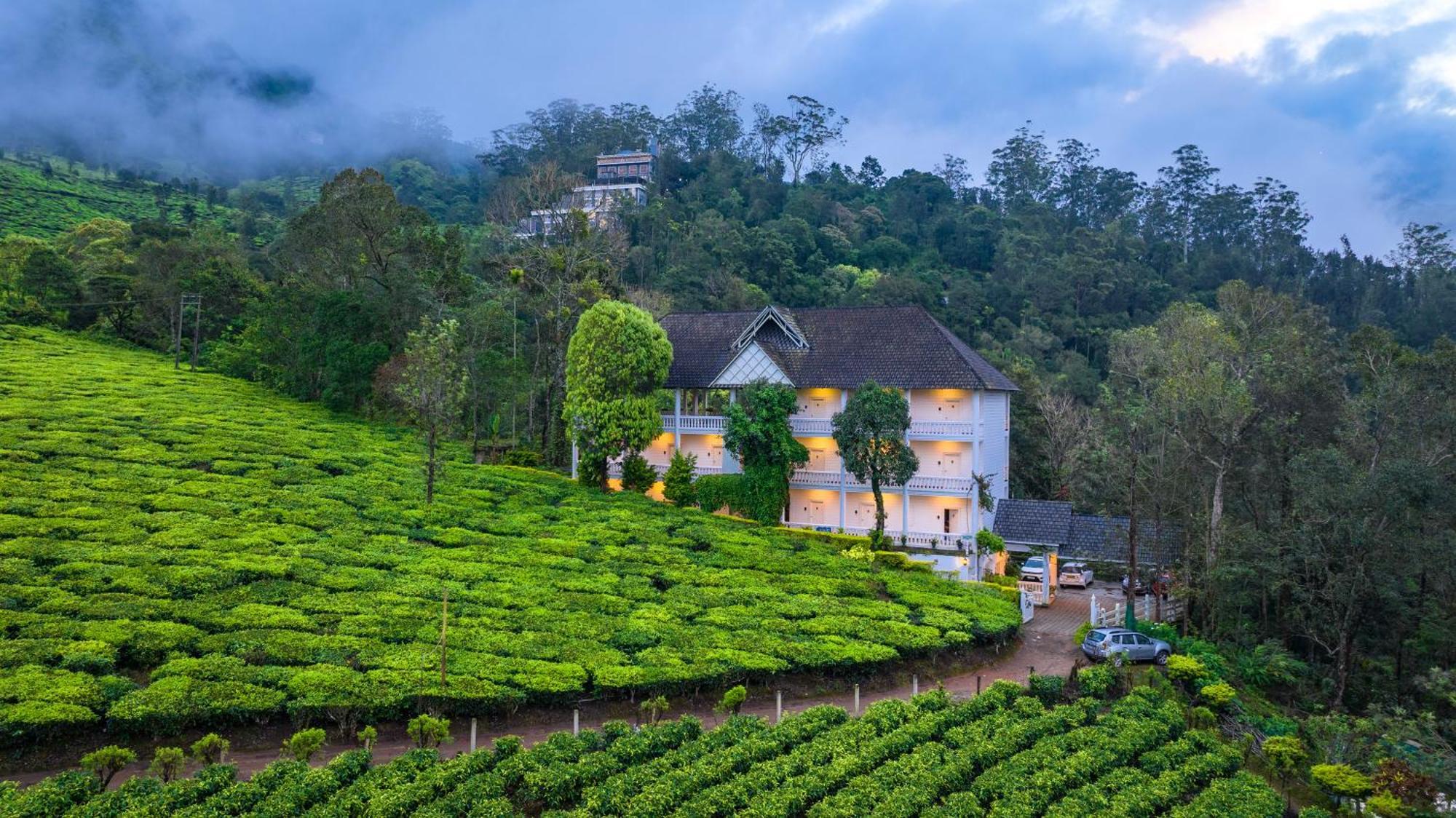 Tea Harvester Munnar Esterno foto